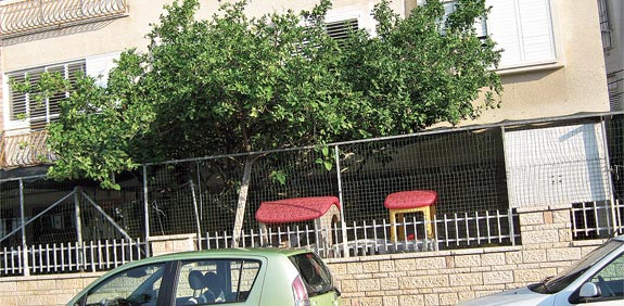 גן ילדים חולון / צלם: איל יצהר